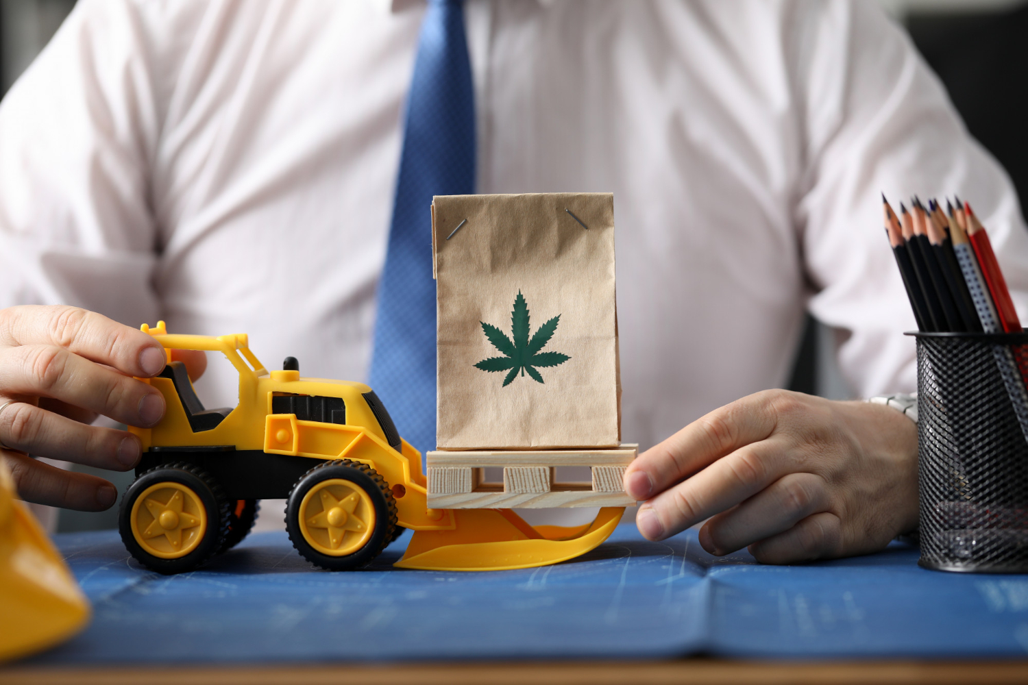 Australia’s Cannabis Export Potential: Medical and Industrial Markets