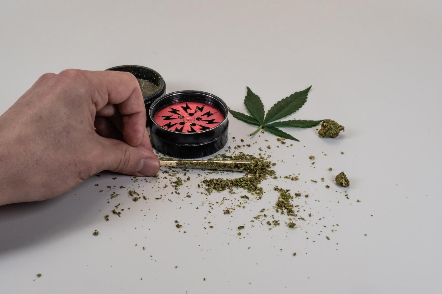 Indica vs Sativa vs Hybrid: Selecting Cannabis Strains for 2025 Growing Success