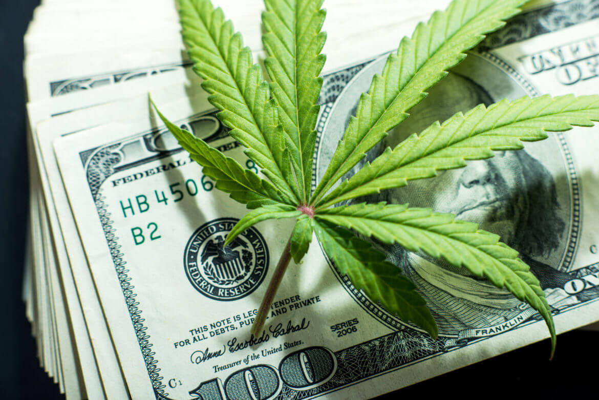 Investment Opportunities in Australia’s Cannabis Sector 